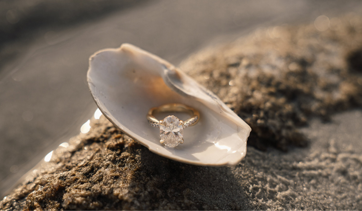 The Wedding Website of Faith Roy and Dillon Koster