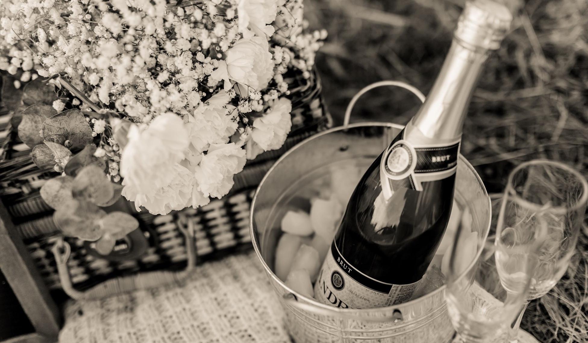 The Wedding Website of Madysen Holcomb and Wyatt Carmichael