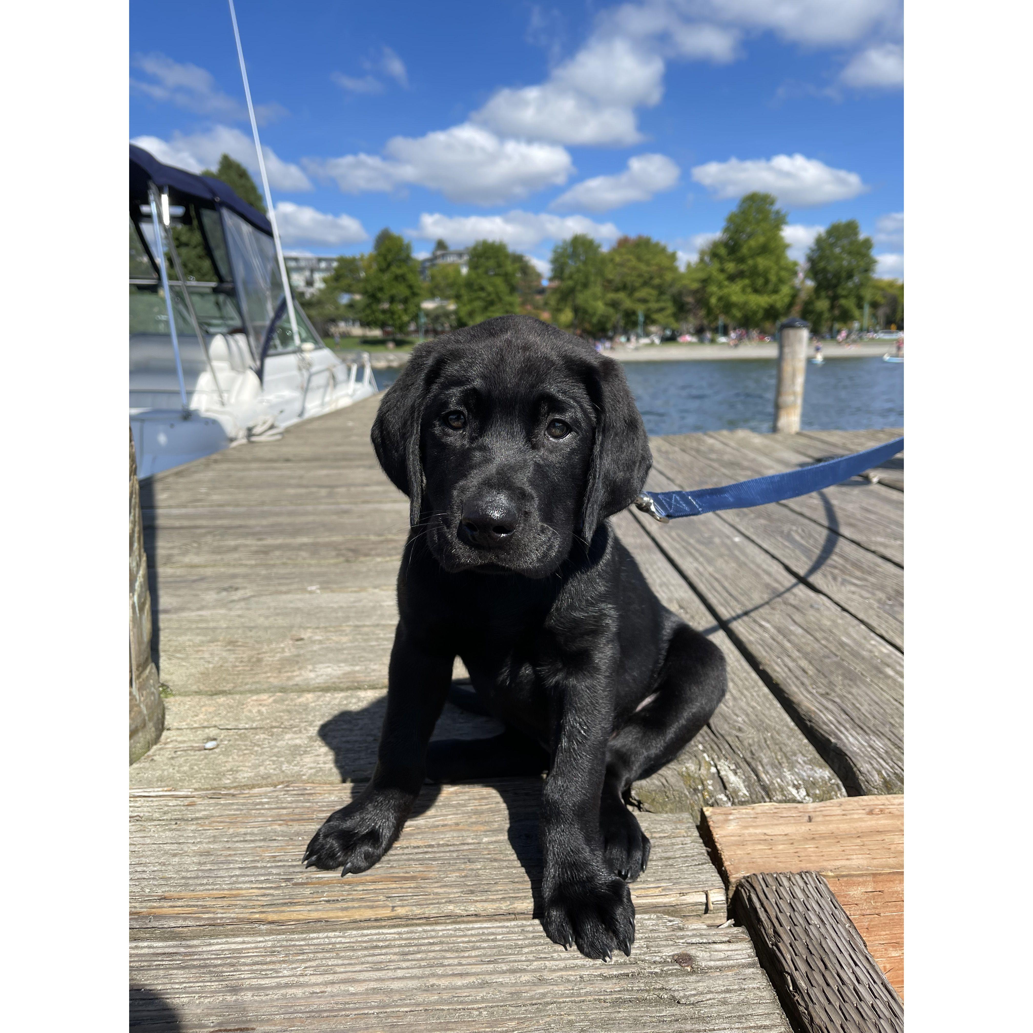 It wouldn't be right if we didn't start with our pride and joy - Hudson