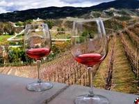 Temecula Wine Tasting
