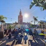 Pura Vida Terraza