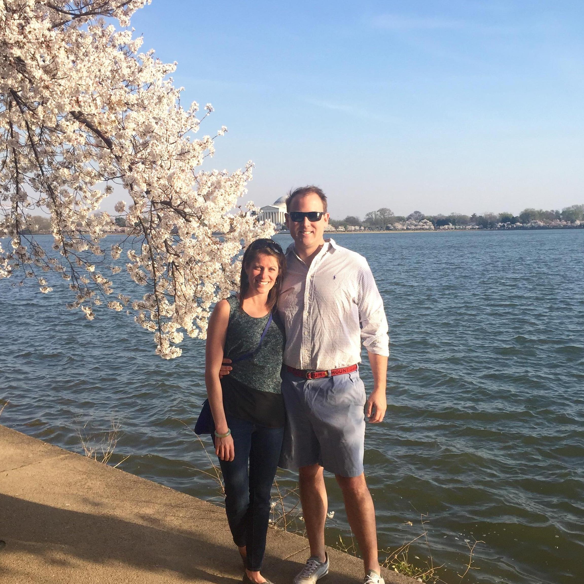Cherry blossoms at the Tidal Basin.