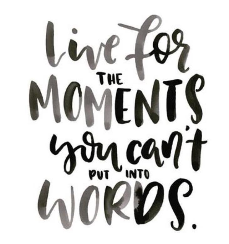 The Wedding Website of Danielle Poiesz and Brian Luby