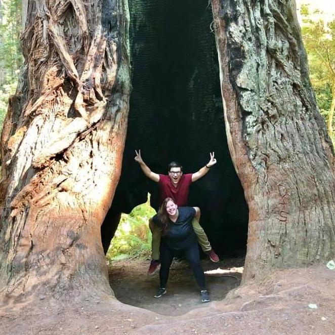 Our trip to the California redwoods