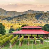 Afton Mountain Vineyards