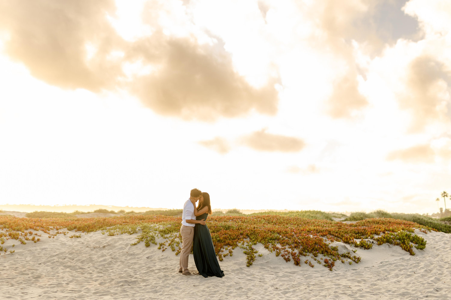 The Wedding Website of Aneri Patel and Brian Howard