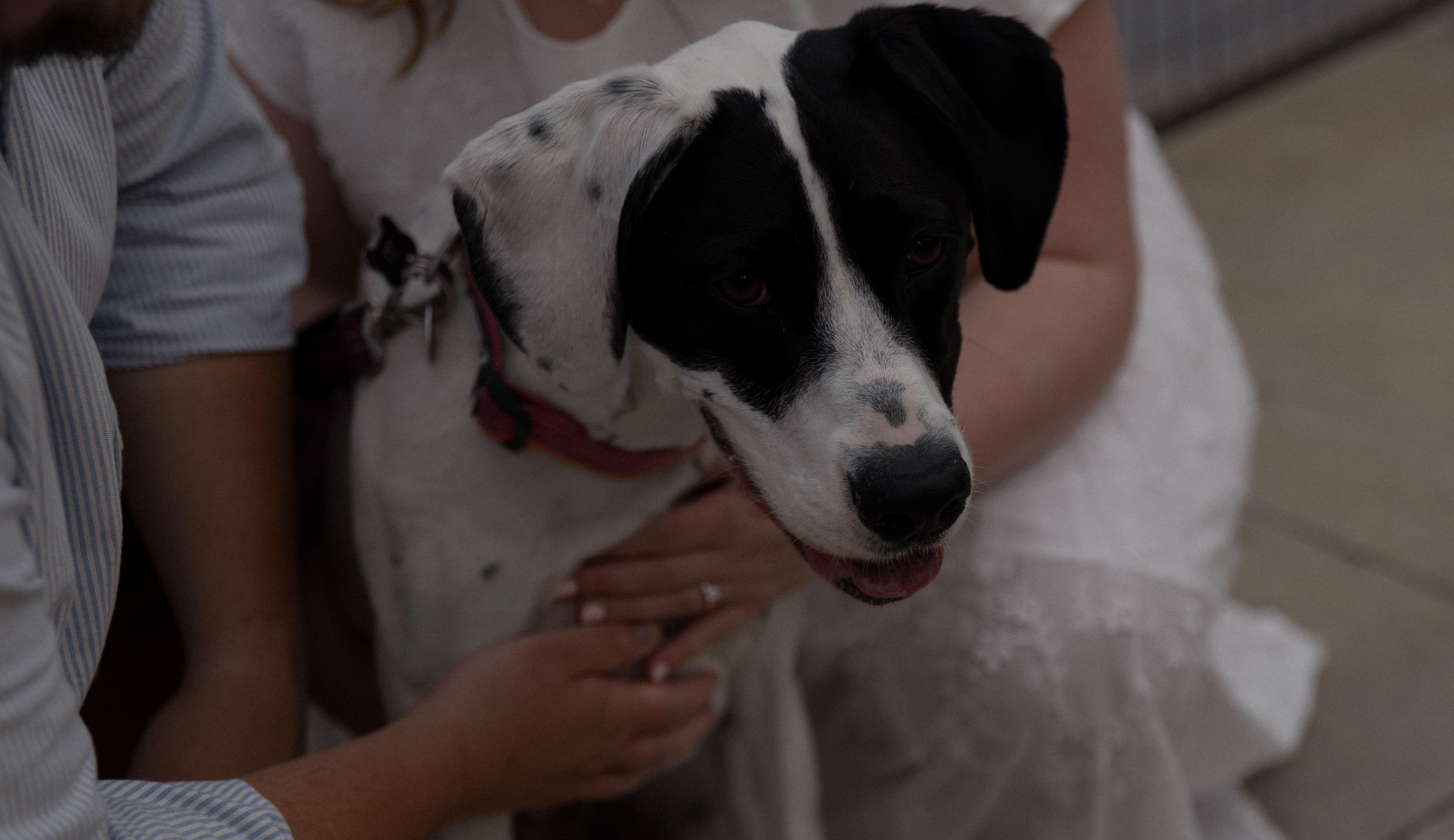 The Wedding Website of Emily Stevenson and Mark Reppen