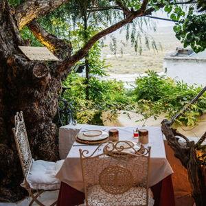 Honeymoon Meals