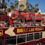 Big Bus Tours Hop On Hop Off Las Vegas