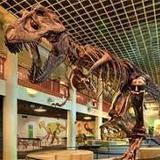 The Academy of Natural Sciences of Drexel University