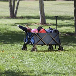 Adventure Wagon Folding Utility Wagon