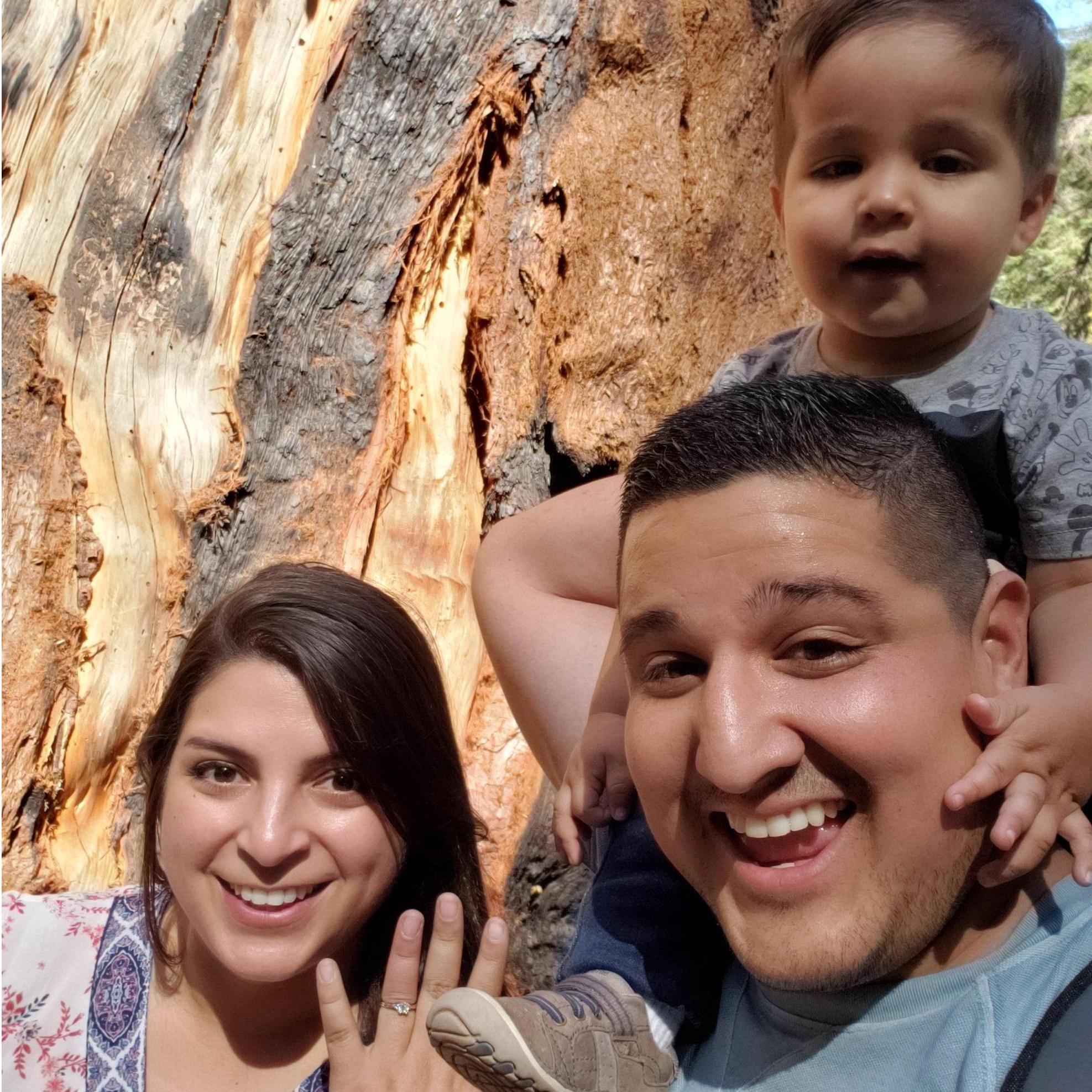 Jason proposed on September 14, 2019 at Sequoia National Park.