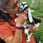 Honomu Goat Dairy (baby goats and caramels!)