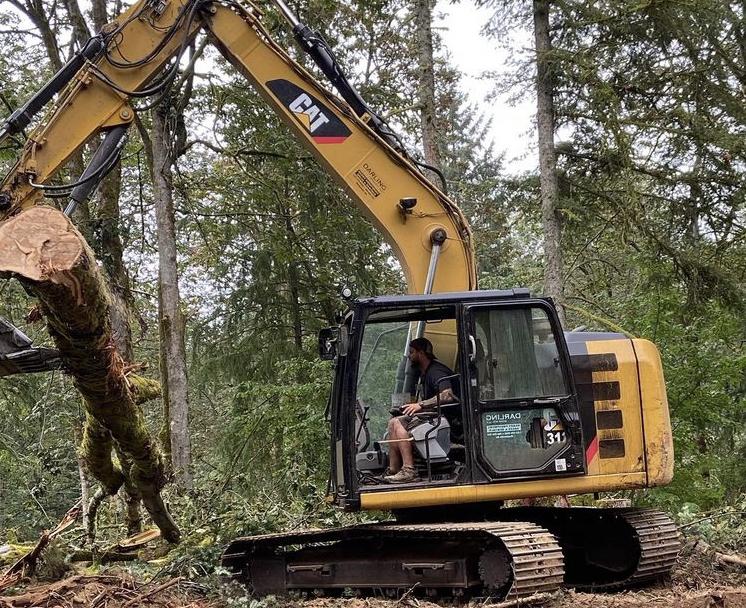 Jordy is clearing out trees for our fifth wheel… exciting times ahead!