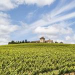 King Estate Winery