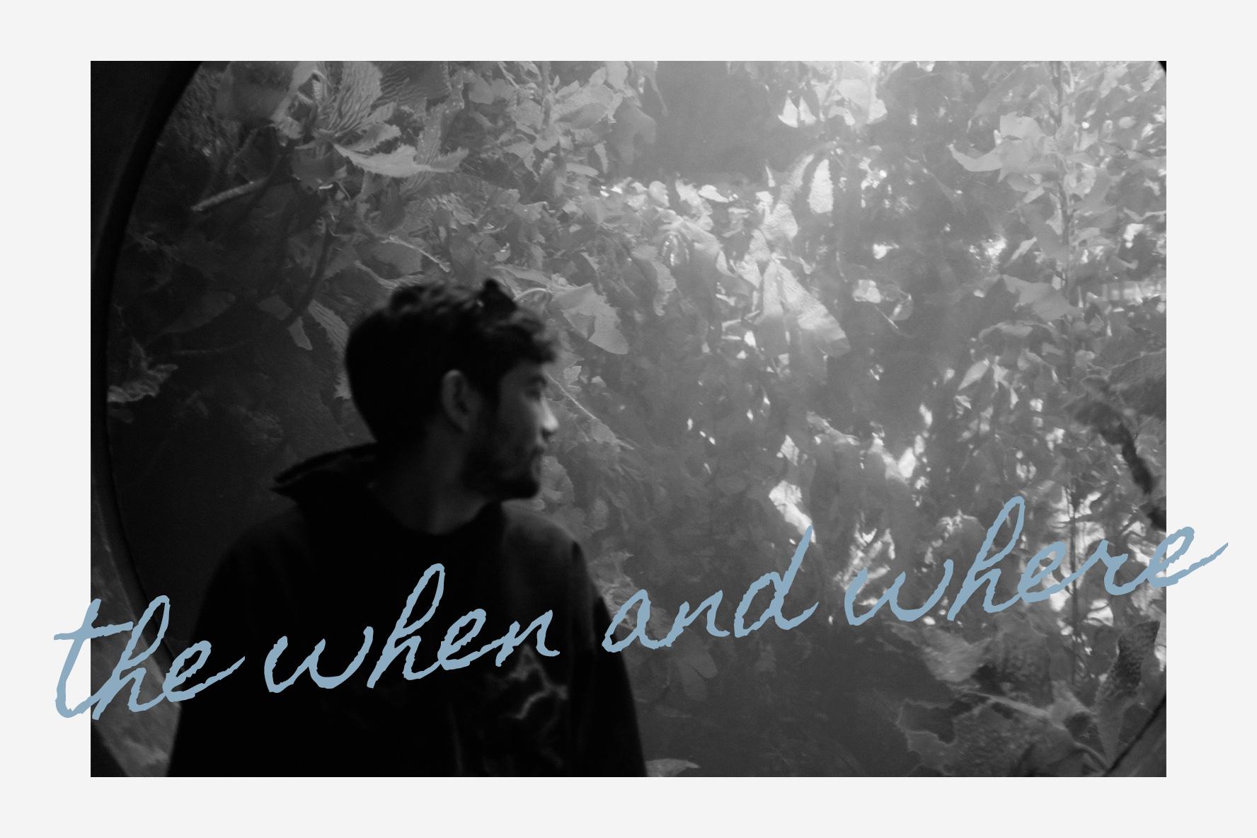 The Wedding Website of Alina Petrasich and Noah Bockman