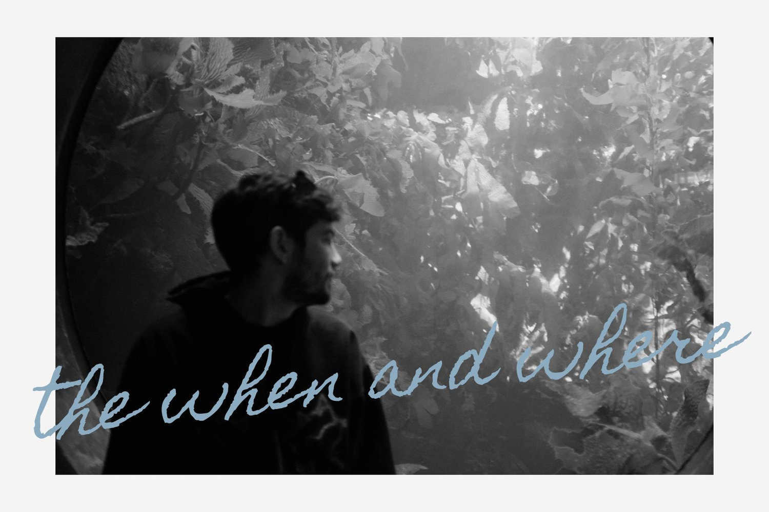 The Wedding Website of Alina Petrasich and Noah Bockman