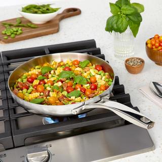 Premier Stainless Steel Fry Pan