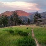 Pingree Park Camping