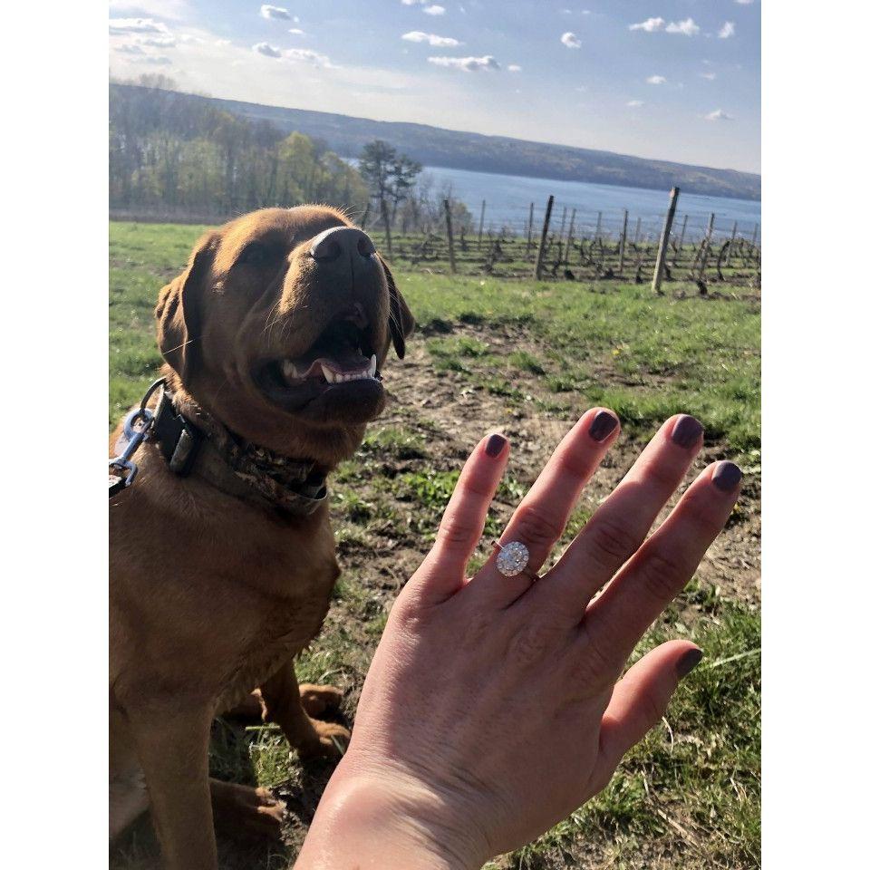 Engagement Seneca Lake, NY 2021