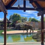 Denver Zoo Conservation Alliance