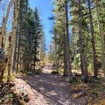 Silverdale Trailhead