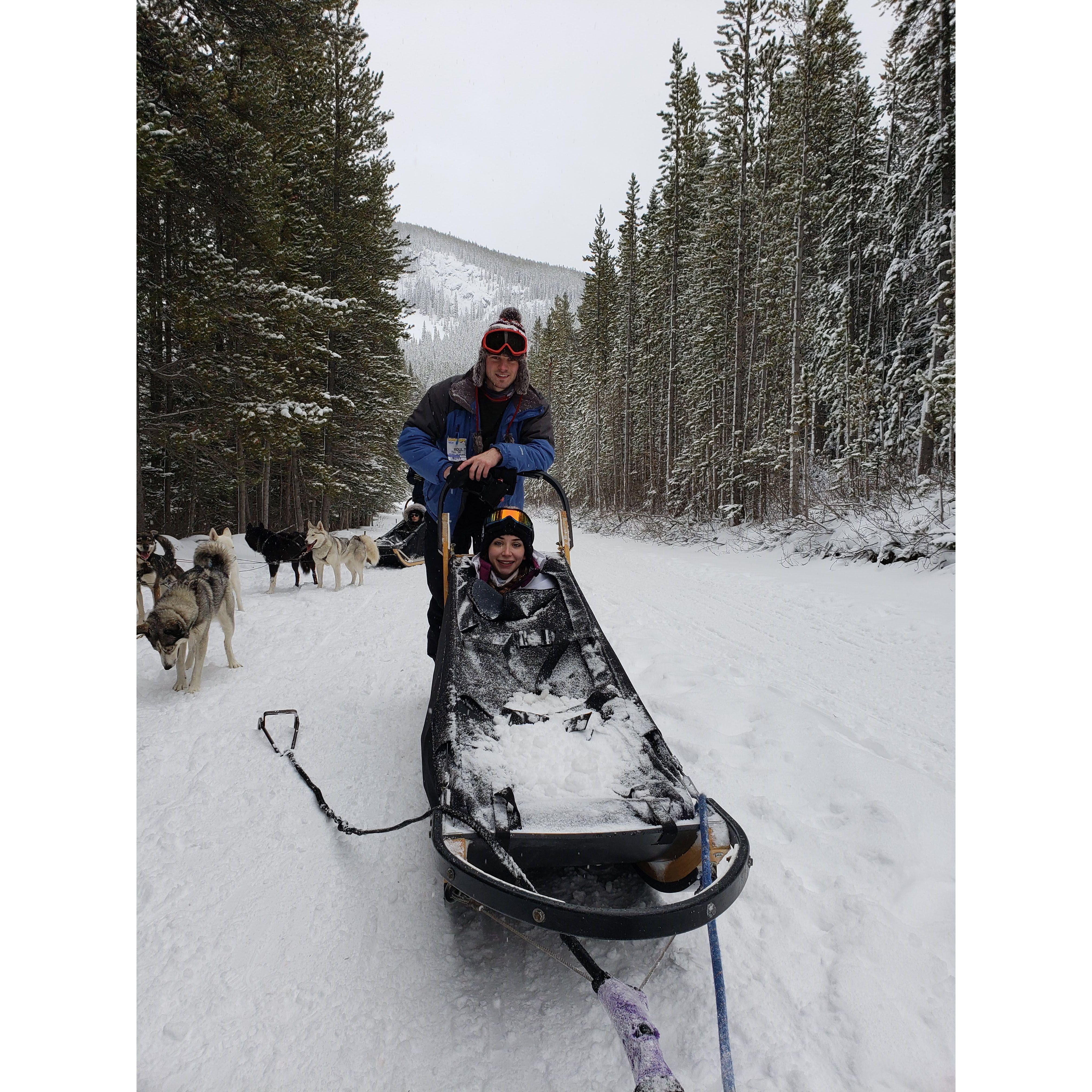 Sled dogging in Banff, Canada