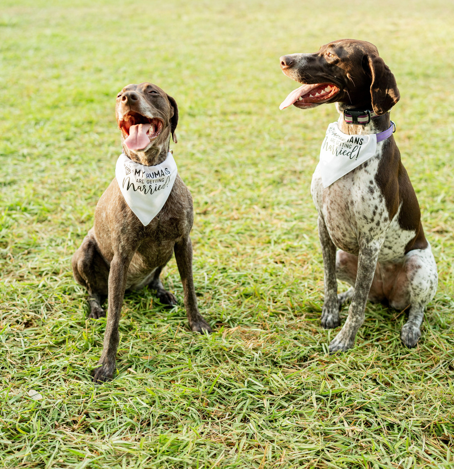 The Wedding Website of Stacey Byczek and Justin Neyman
