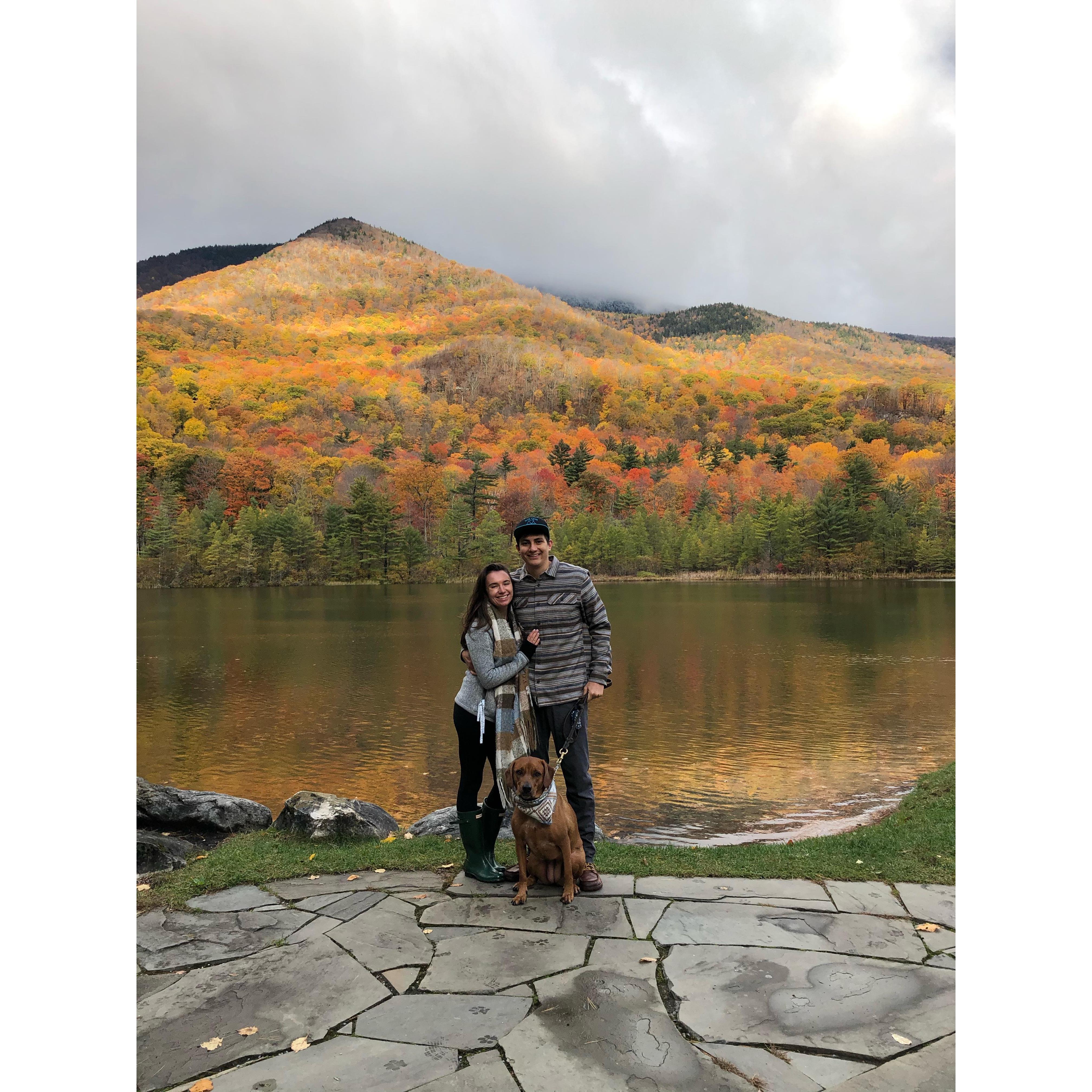 Fall in Vermont, 2020