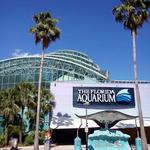 The Florida Aquarium