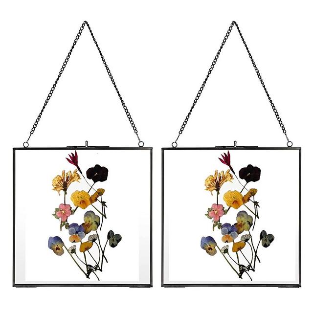 JUXYES Set of 2 Brass Wall Hanging Photo Frame, Glass Floating Frame for Display Pressed Flowers Artwork, Double Glass Floating Frame Style Square Gallery Wall Frame for Photo Picture Poster etc