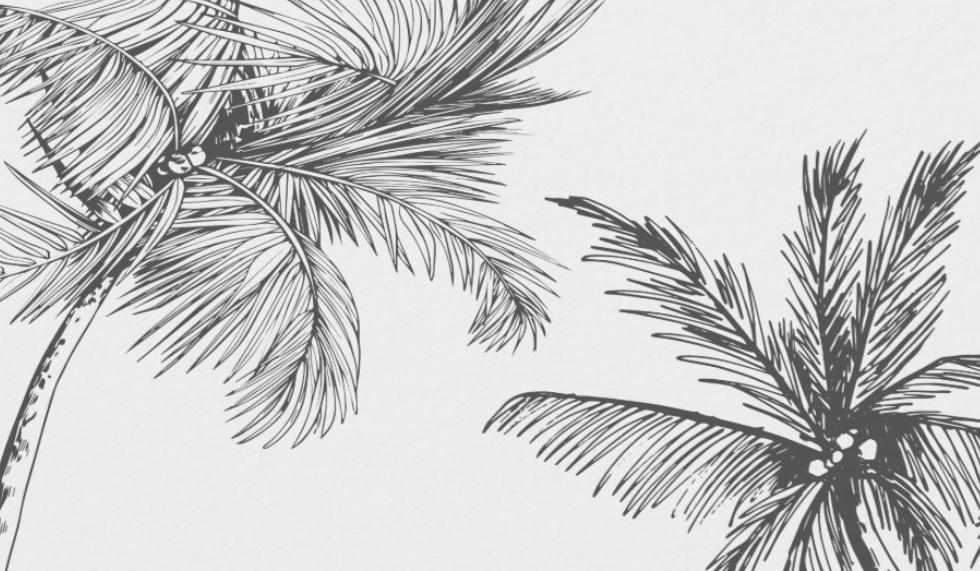 The Wedding Website of Thomas Martinez and Megan Scavezze