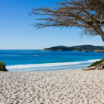 Carmel by the sea