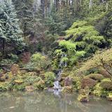 Portland Japanese Garden