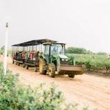 Southern Hill Farms