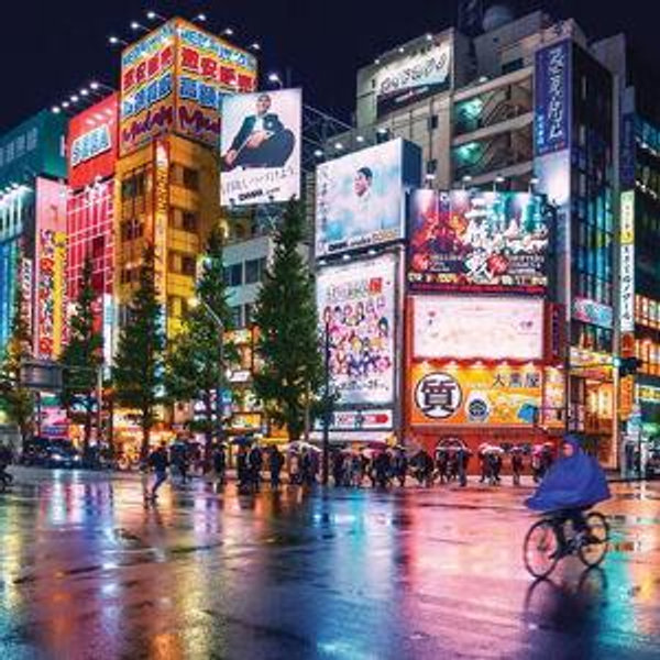 Dream Trip To Japan/Honeymoon Fund