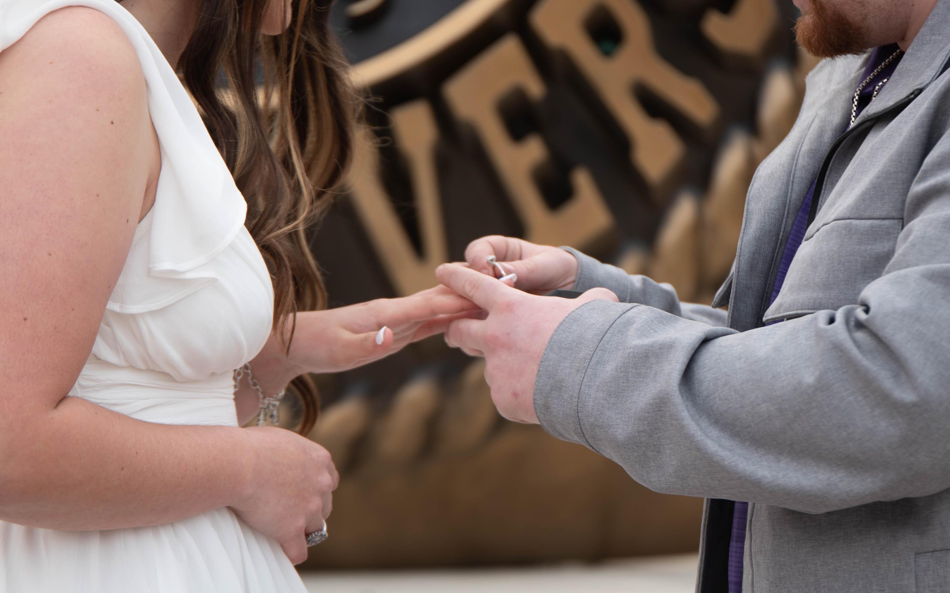 The Wedding Website of Dana Potter and Ryan Potter
