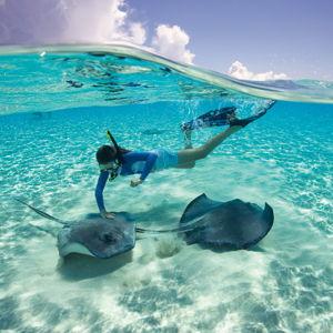 Two Stingray Encounters at Xel-Ha Park
