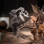 Denver Museum of Nature & Science