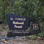 El Yunque