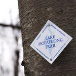 Hiking at Lake Hopatcong Trail Spur