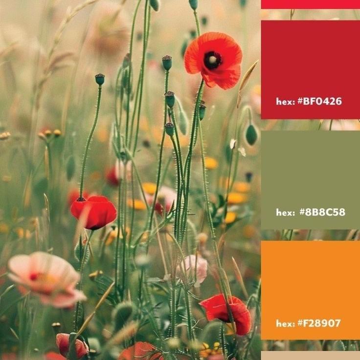 Wedding Colors