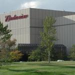 Budweiser Brewery Experience