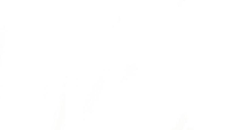 Footer image