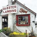 Lobster Landing