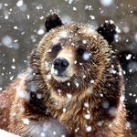 Milwaukee County Zoo