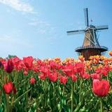 Windmill Island Gardens