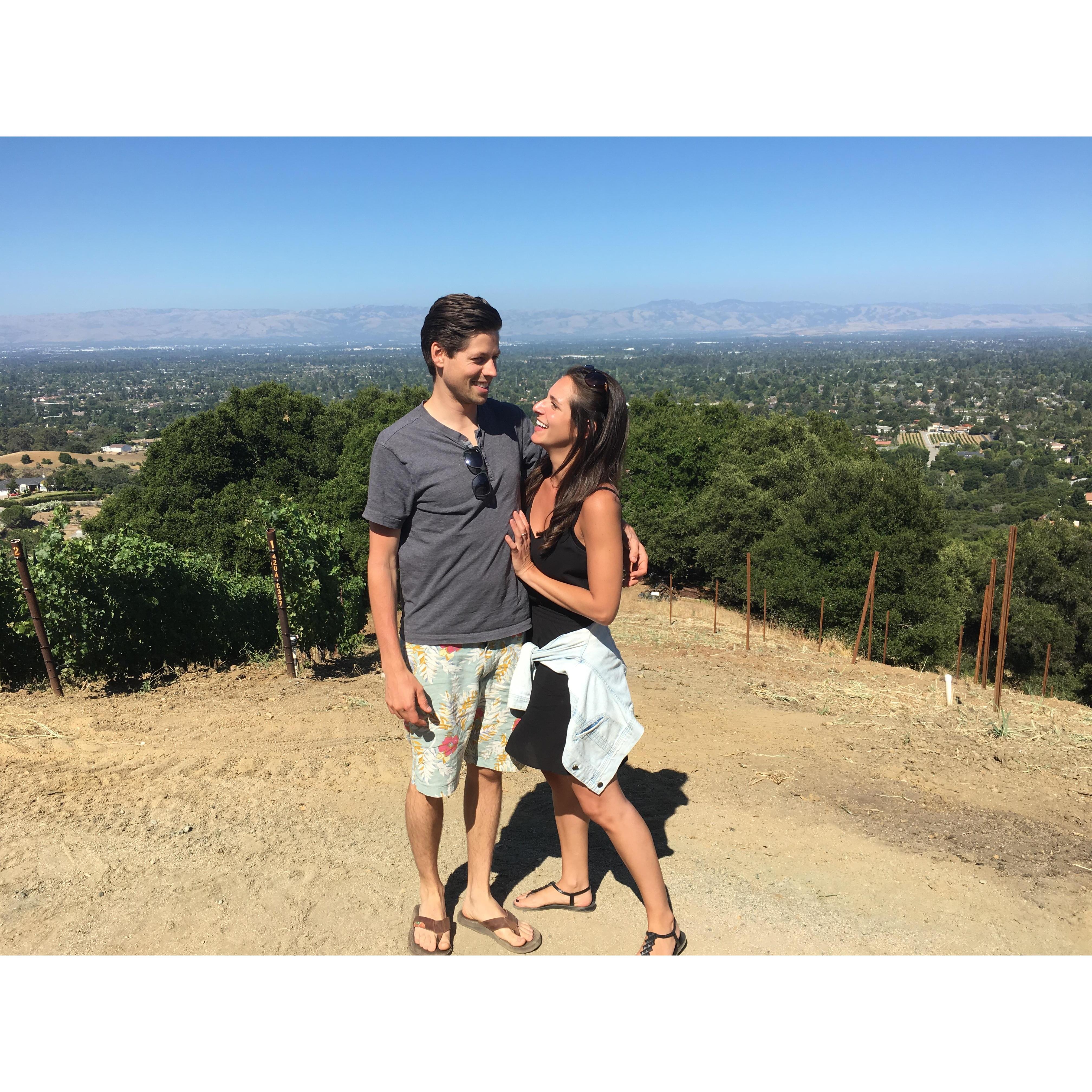 House Family Vineyards - July 2017