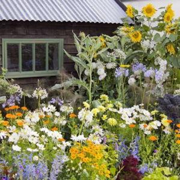 Help Us Start Our Garden