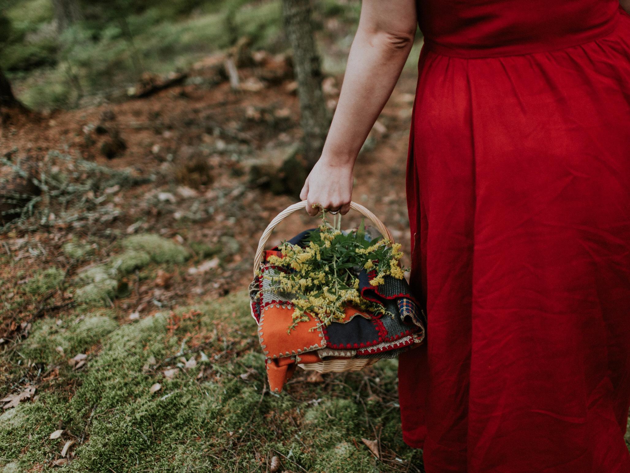 The Wedding Website of Clara Latimer Illson and Addison O’Donnell